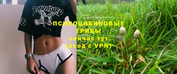 хмурый Карпинск