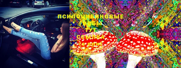 кристаллы Инта