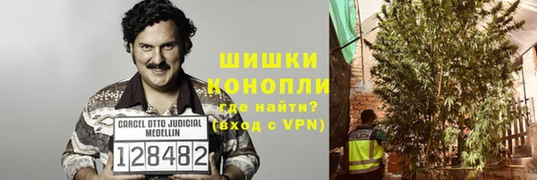 кристаллы Инта