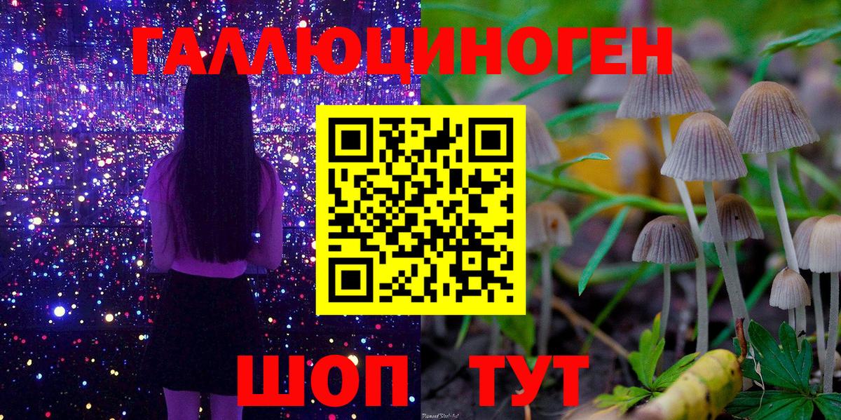 Псилоцибиновые грибы Cubensis Мыски